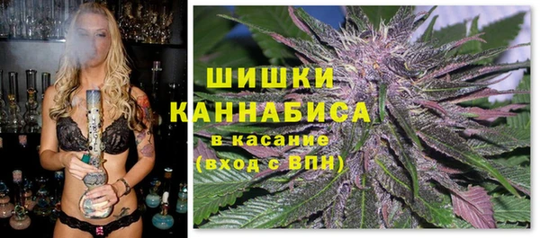a pvp Аркадак