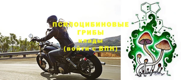 ALPHA-PVP Пролетарск